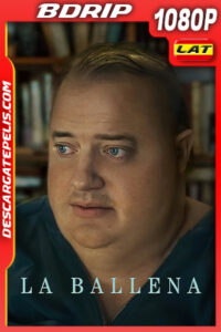 La ballena (2022) 1080p BDrip Latino