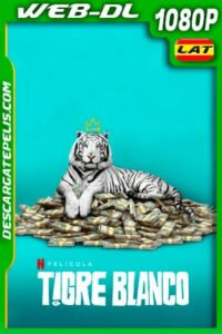Tigre blanco (2021) 1080p WEB-DL Latino