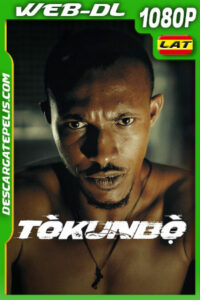 Tokunbo (2024) 1080p WEB-DL Latino